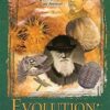 Evolution: The Grand Experiment - DVD